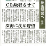 ブルーカーボン