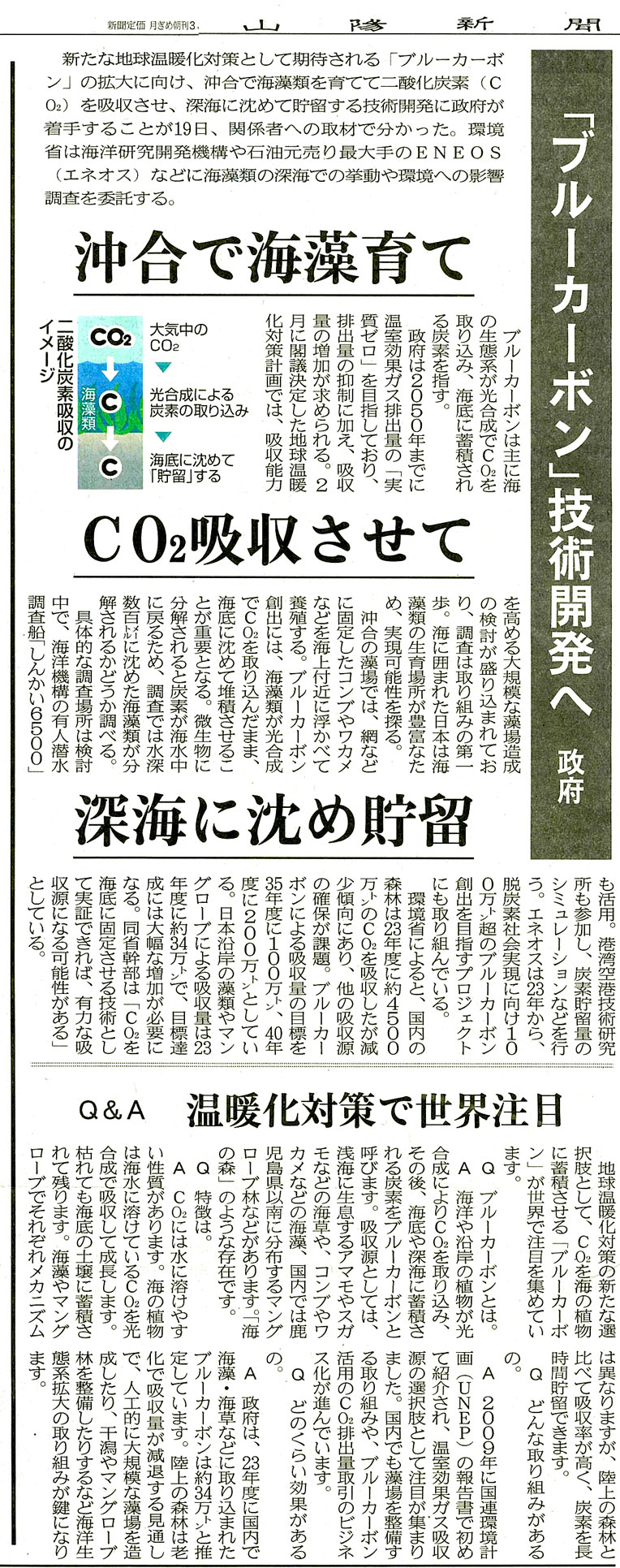 ブルーカーボン